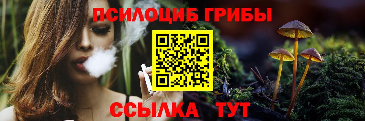 наркота  Вход с VPN  Чебоксары  Псилоцибиновые грибы мухоморы 