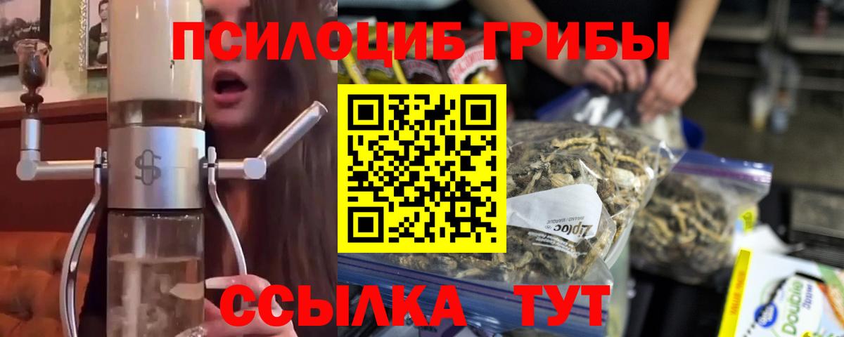 Псилоцибиновые грибы Psilocybe Чебоксары